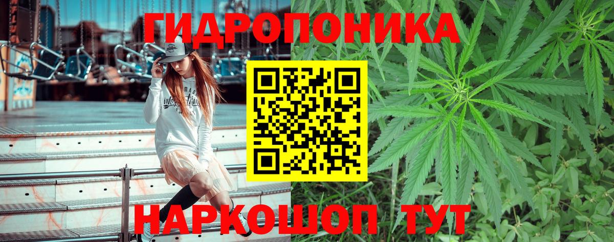 Каннабис планчик Советский